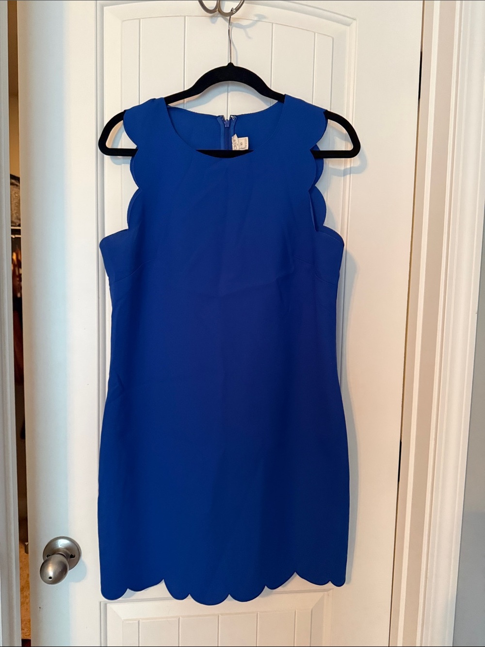 J. Crew Scallop-Edge Sleeveless Sheath Dress in Cobalt Blue